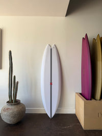 Album Surf Twinzman